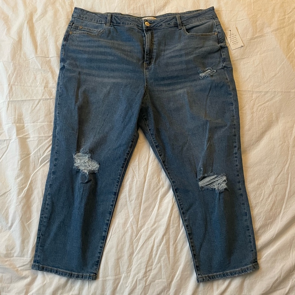 NWT Eloquii Sz 20 Jeans